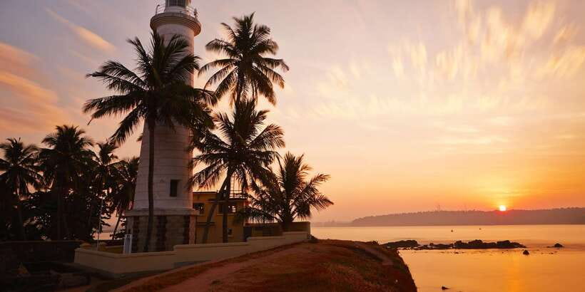 From Colombo: Virgin White Tea and Galle City Tour - Key takeaways before you book