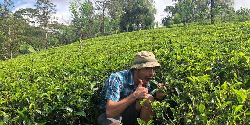 From Colombo: Virgin White Tea and Galle City Tour - Handunugoda Tea Estate: Virgin White Tea and the point of the human-avoiding method