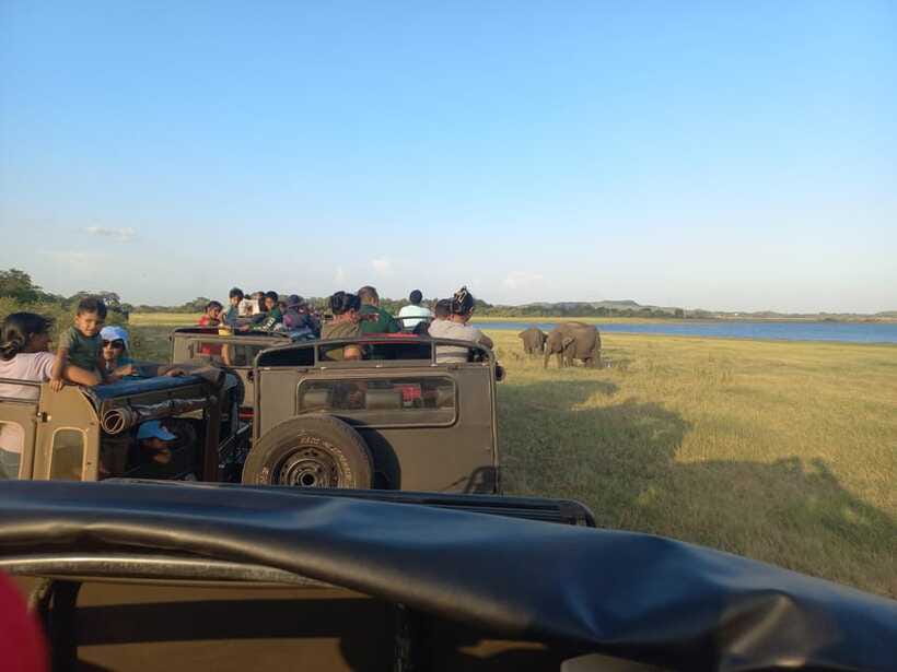 From Dambulla: Minneriya National Park wild Jeep Safari - Price and Value: What’s Included and What Costs Extra