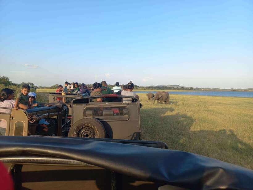 From Dambulla: Minneriya National Park wild Jeep Safari - Pickup and Timing: Transfers, Photo Stop, and 3 Hours in the Park