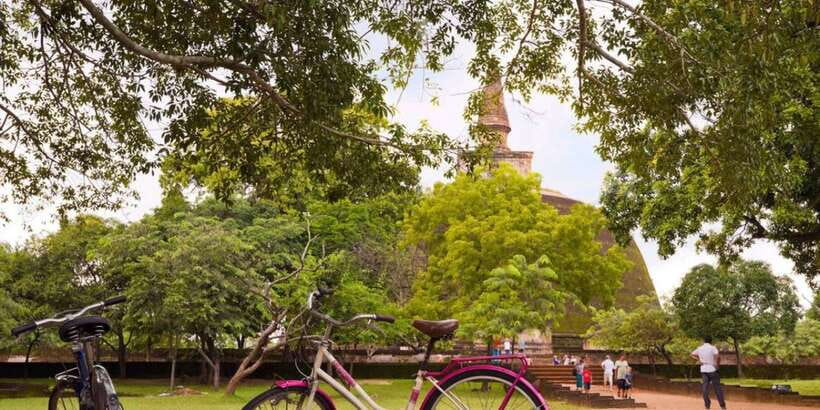 From Dambulla/ Sigiriya: Ancient City of Polonnaruwa by Bike - Gal Viharaya’s rock-cut temple: where the statues do the talking