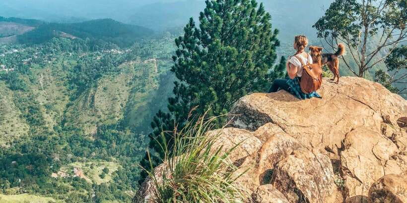 From Ella - All Inclusive Unforgettable Day Trip Tour - Lunch in Ella: Included, but Keep Expectations Flexible