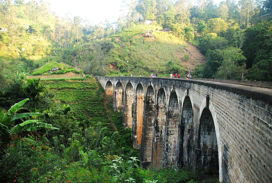 From Ella - All Inclusive Unforgettable Day Trip Tour - Calypso Train Option for $5: A Small Upgrade If You Want More Fun