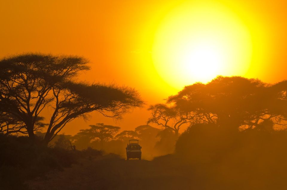 From Ella: Drop to Tangalle/Hiriketiya/Mirissa & Yala Safari - What You’re Likely to See in Yala (and Why It’s Fun Even Without a Leopard)