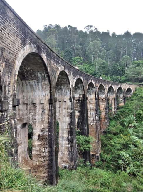 From Ella: Ella Unfogettable Day tour & Train Ride Tour - Demodera Railway Loop and Nine Arch Bridge: the main event