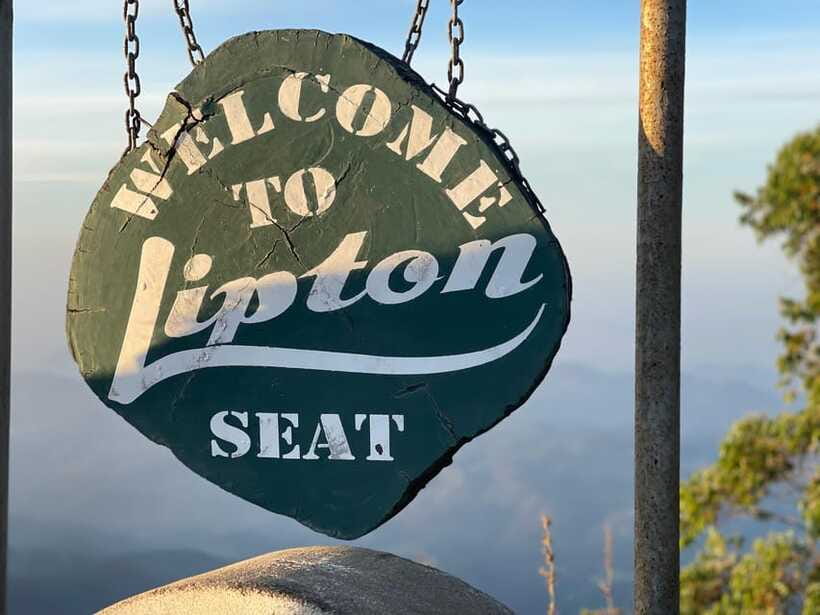 From Ella: Lipton Seat & Dambatenne Tea Factory Day Tour - The ride through Ella’s tea countryside (and why the route matters)