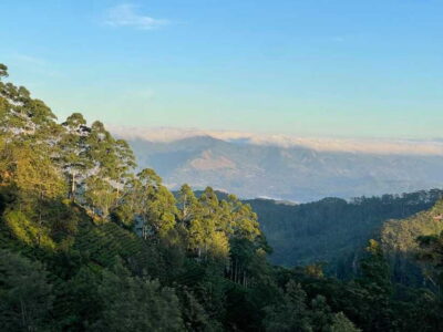 From Ella: Lipton Seat & Dambatenne Tea Factory Day Tour - Lipton’s Seat: the viewpoint tied to an empire