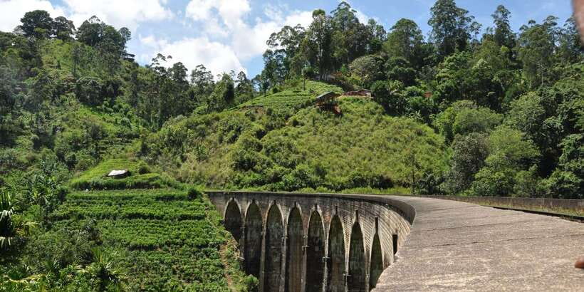 From Ella: Little Adam’s Peak and Nine Arches Bridge Hiking - Key highlights at a glance