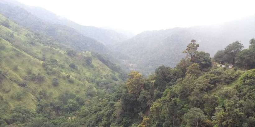 From Ella: Little Adam’s Peak and Nine Arches Bridge Hiking - What to bring so the hike feels good