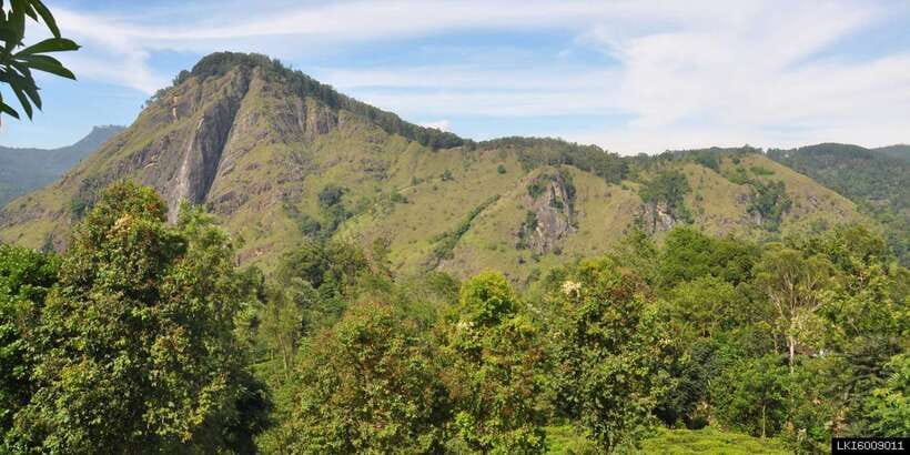 From Ella: Little Adam’s Peak and Nine Arches Bridge Hiking - The sunrise pause: cookies, a drink, and a rock view