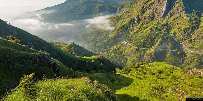 From Ella: Little Adam’s Peak and Nine Arches Bridge Hiking - Along the railroad to Demodara Station