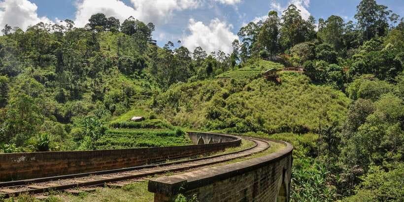 From Ella: Little Adam’s Peak and Nine Arches Bridge Hiking - Guide quality and the private-group feel