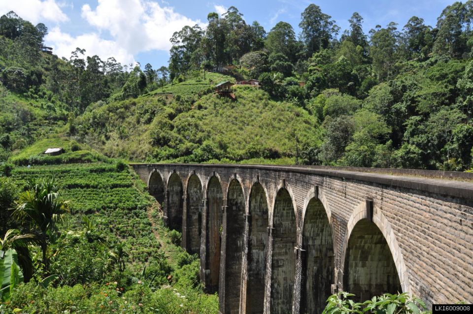 From Ella: Little Adam’s Peak and Nine Arches Bridge Hiking - What’s included, and why it affects value