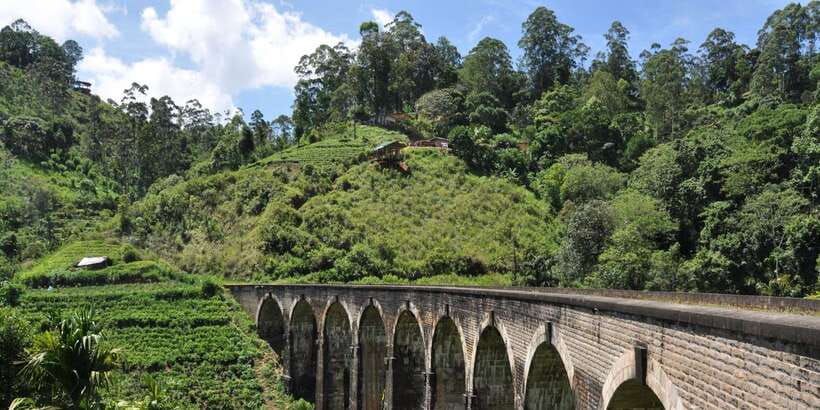 From Ella: Little Adam’s Peak and Nine Arches Bridge Hiking - Logistics you can plan around (no guesswork)