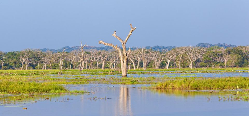 From Ella: Shuttle to Down South Any Location w Yala Safari - Who this tour is best for