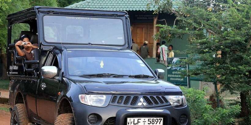 From Ella: Shuttle to Tangalle/Hiriketiya w Udawalawe Safari - Udawalawe Safari: What You Can Realistically Expect to See