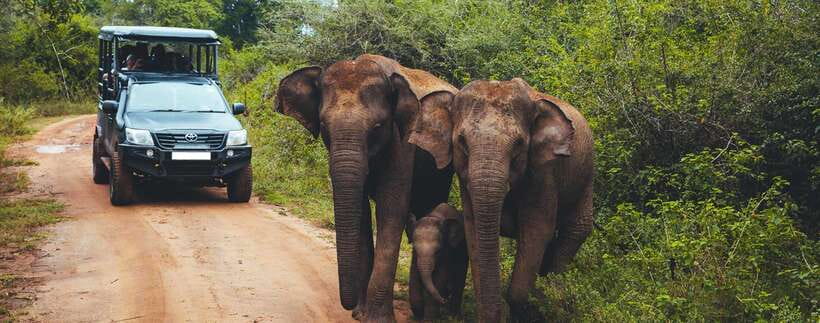 From Ella: Udawalawa Safari and Tangalle/Hiriketiya Transfer - Key things I’d watch for