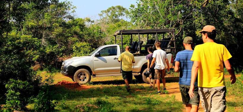 From Ella: Udawalawa Safari and Tangalle/Hiriketiya Transfer - Udawalawe to Tangalle: the smart one-day wildlife-to-coast combo