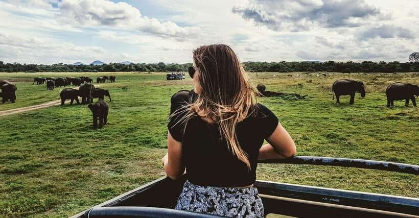 From Ella: Udawalawa Safari and Tangalle/Hiriketiya Transfer - What the timing really means: 3 hours is short, so make it count