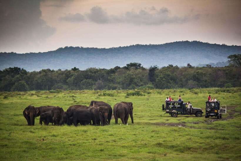 From Ella: Udawalawa Safari and Tangalle/Hiriketiya Transfer - Budget and practical checks before you go
