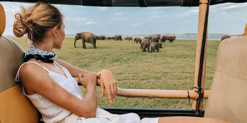 From Ella: Udawalawe Safari with Elephant Transit Home Visit - The Ella-to-Udawalawe Setup That Saves You Time