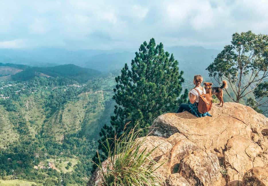 From Ella : Waterfalls, Nine Arch Bridge, Little Adam's Peak - Pallewala Waterfall and the smaller viewing moments that break up the day