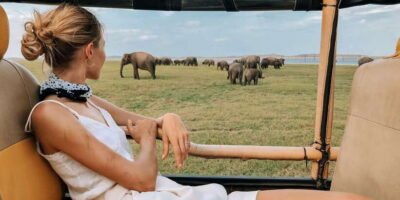 From Ella: Yala National Park Safari Tour in a 4x4 - The 4x4 game drive: comfort for viewing, plus real safari road vibes