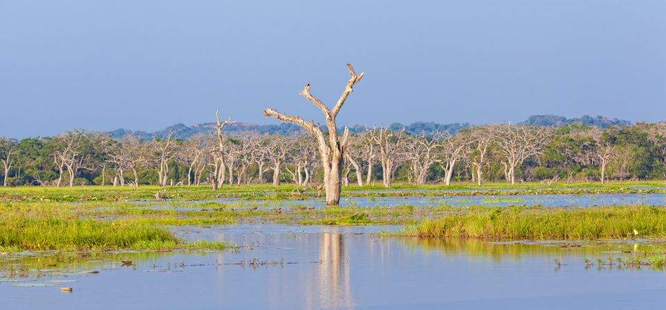 From Ella: Yala National Park Safari Tour in a 4x4 - The one payment curveball: Yala entrance and service fees