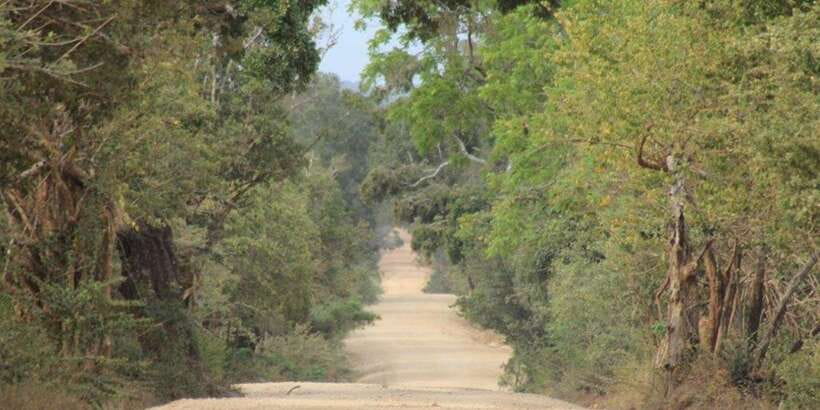 From: Ella - YALA Safari - Drop off: Arugam Bay / Arugambay - Drivers, Guidance, and How the Safari Feels in Real Life
