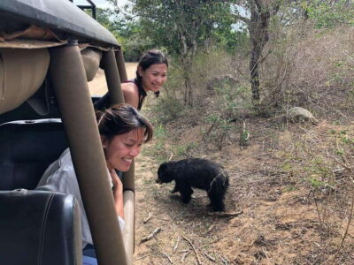 From Ella: Yala Safari Tour with Drop at Tangalle/Hiriketiya - Pickup and drop-off: Ella to Tangalle/Hiriketiya, or other south-coast bases