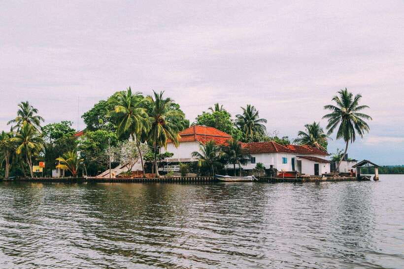 From Galle: Exclusive Madu River Safari & Turtle Hatchery - A 4.5-hour river-and-turtles plan that feels efficient