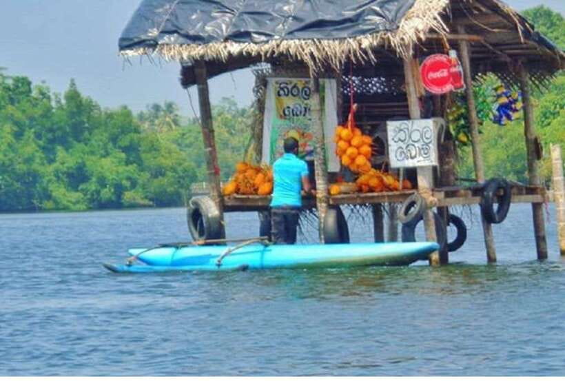 From Galle: Exclusive Madu River Safari & Turtle Hatchery - Price and what you get for $75 per person