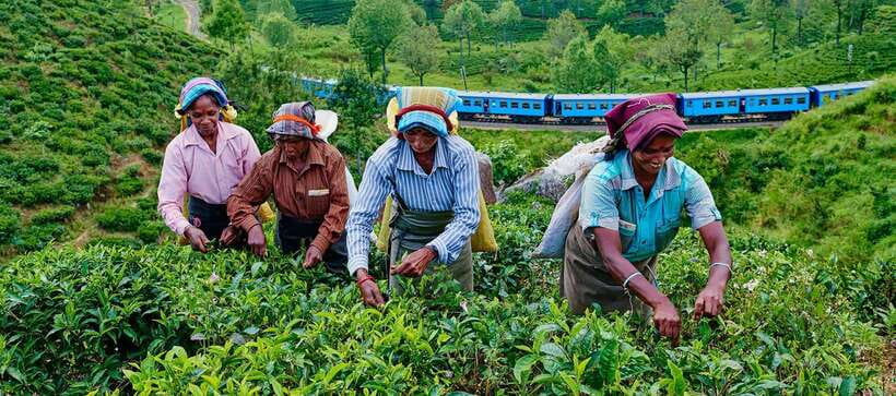 From Galle/Hikkaduwa/Mirissa: Day Trip to Experience Ella - A 14-Hour Ella Day Trip That Moves Fast, Not Frantic