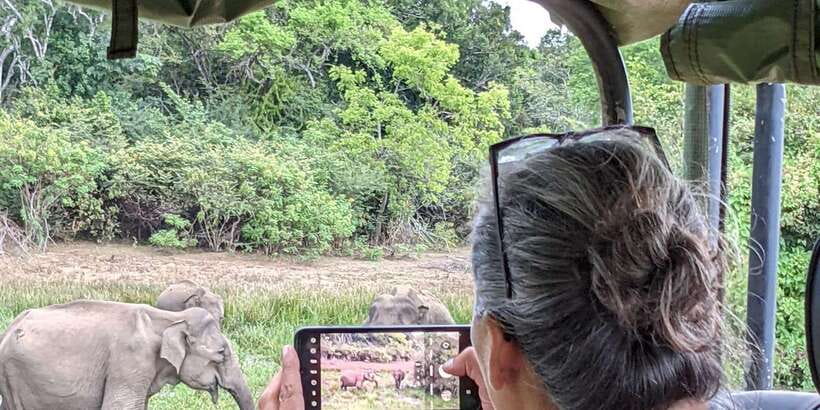 From Hikkaduwa/ Galle/ Mirissa - Yala National Park Safari - Key Points You’ll Care About
