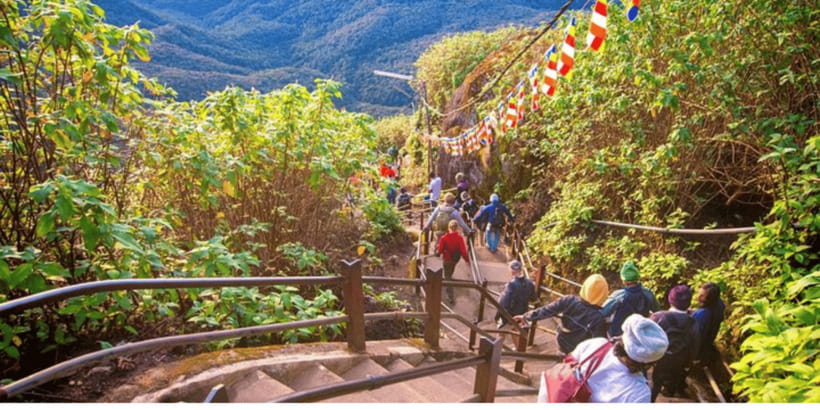 From Kandy: Adams Peak Guided hike via Peak Wilderness - Who This Private Guided Hike Is For