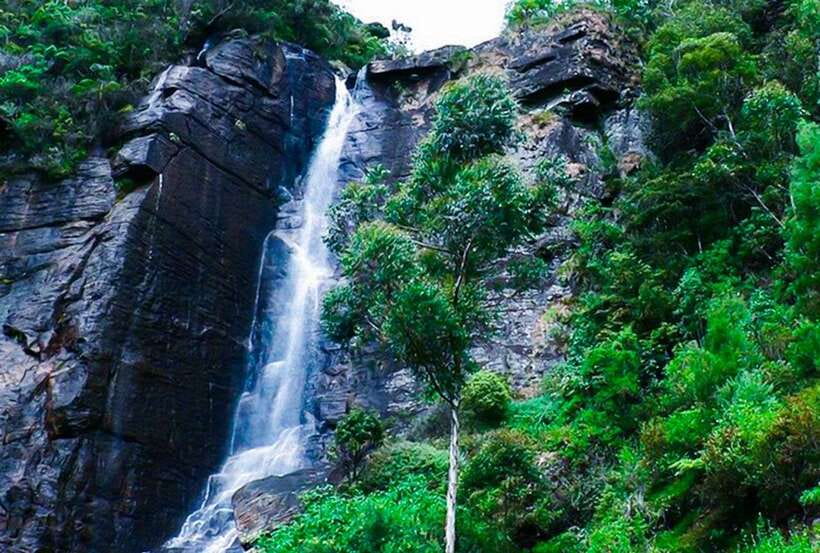 From Kandy: All Inclusive Nuwara Eliya Day Tour with Lunch - Key highlights worth planning around