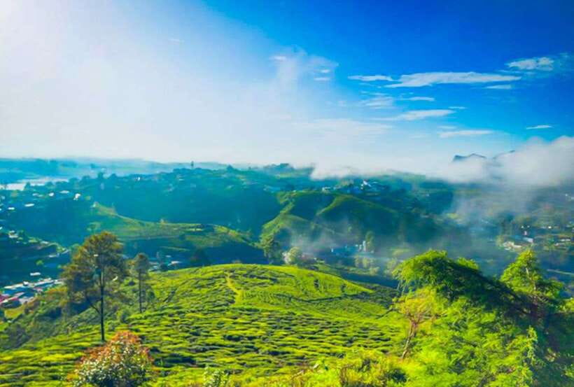 From Kandy: All Inclusive Nuwara Eliya Day Tour with Lunch - Ramboda Falls (109 meters): when the timing and walking match the payoff