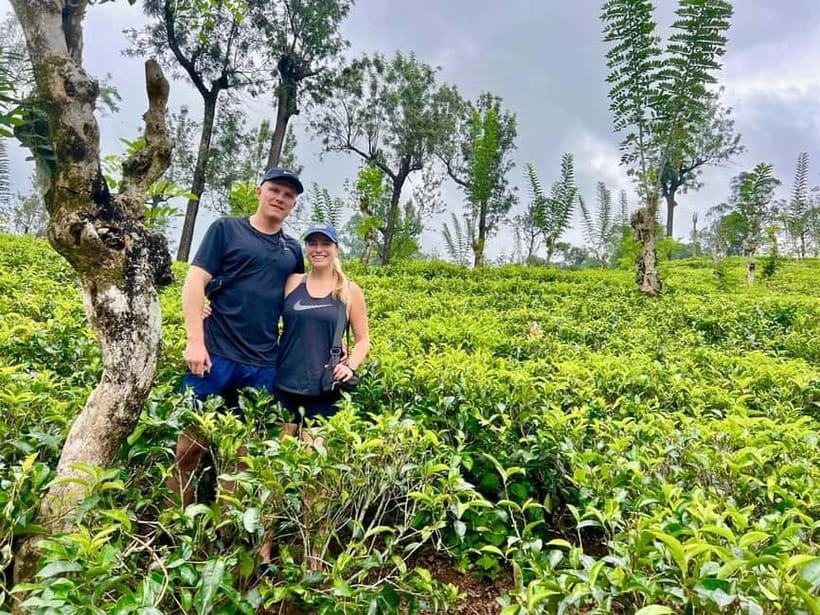 From Kandy: Ella Drop Tour via Nuwara Eliya - Nuwara Eliya Drop-Off Route: Gregory Lake and Post Office Time