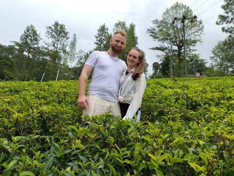From Kandy: Ella Drop Tour via Nuwara Eliya - Should You Book This Kandy-to-Ella Drop via Nuwara Eliya?