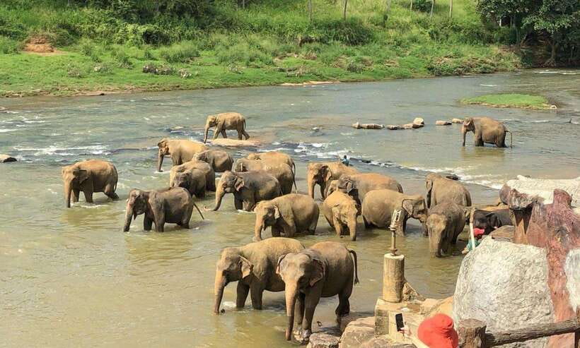 From Kandy: Kandy To Pinnawala Day Tour by Tuk Tuk - Kadugannawa View Point and the scenic stop that breaks up the day