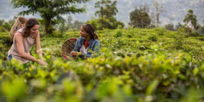 From Kandy: Nuwara Eliya by Train - Arriving at Nuwara Eliya: Cottages, Cool Air, and Lake Gregory
