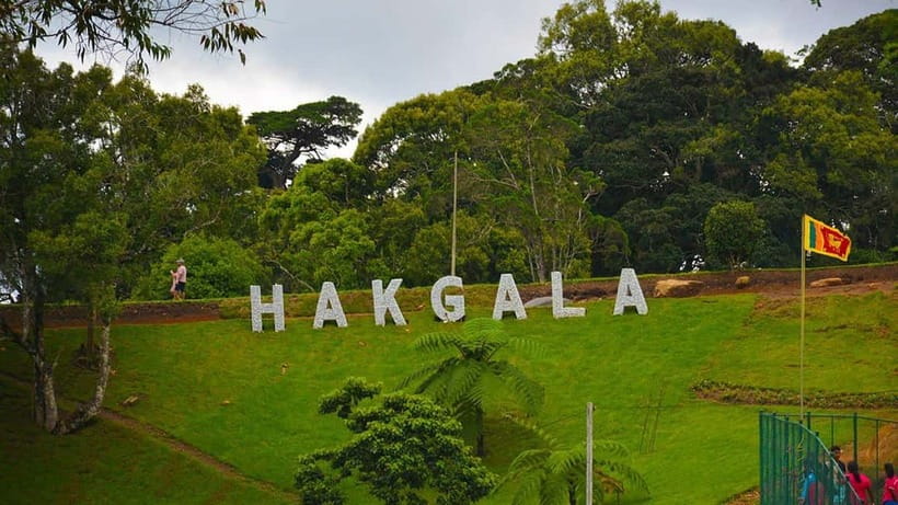 From Kandy: Nuwara Eliya Tour via Ambuluwawa [Private Tour] - Nuwara Eliya: The Cold Hill-Station Mood and What’s Worth It