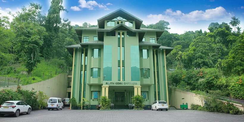 From Kandy: Pinnawala Day Tour - Wood Carving Family House and gems: local craft, plus one place to set boundaries