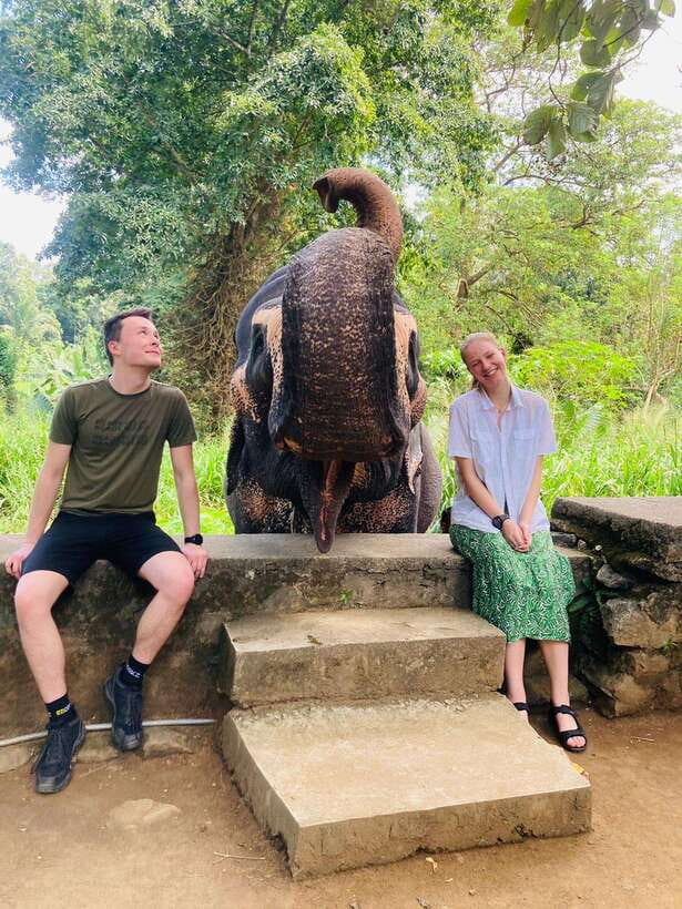 From Kandy : Pinnawala Elephant Orphanage & Ambuluwawa Tower - Key Things I’d Not Skip