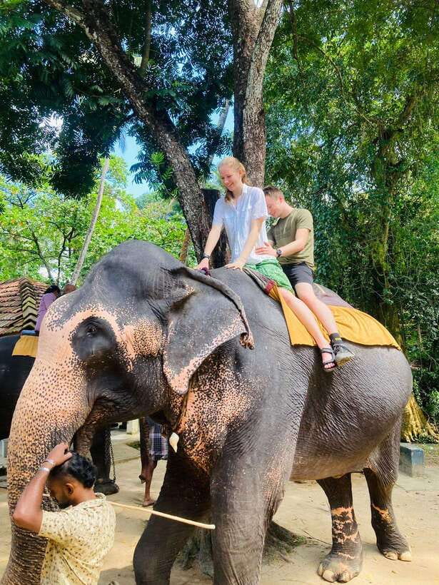 From Kandy : Pinnawala Elephant Orphanage & Ambuluwawa Tower - Why Pinnawala and Ambuluwawa Work as a Two-Part Day