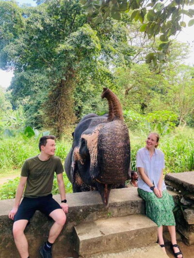 From Kandy : Pinnawala Elephant Orphanage & Ambuluwawa Tower - Pinnawala Elephant Orphanage: The Bathe, Feed, and Twin-Baby Moment