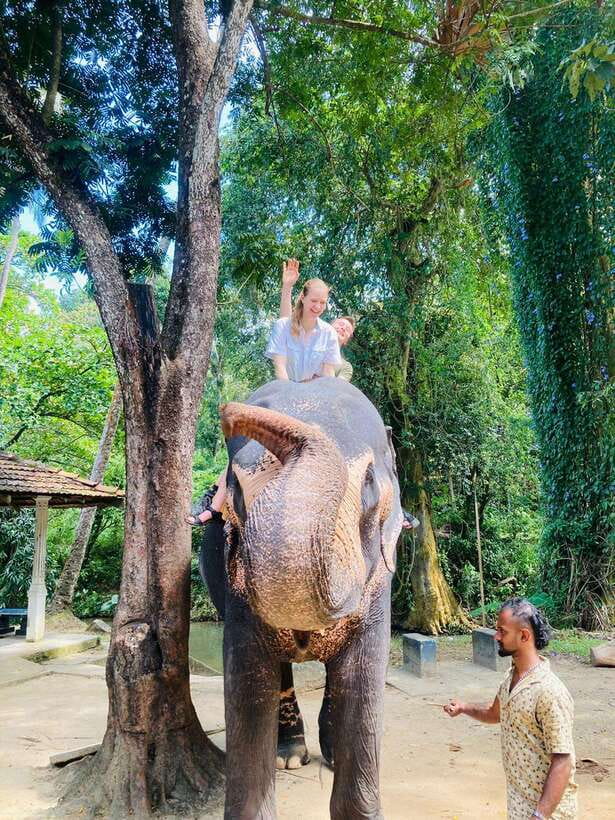 From Kandy : Pinnawala Elephant Orphanage & Ambuluwawa Tower - Price and Tickets: What $20 Really Buys You
