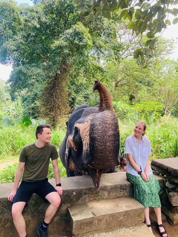 From Kandy : Pinnawala Elephant Orphanage & Ambuluwawa Tower - Pinnawala Elephant Orphanage: The Bathe, Feed, and Twin-Baby Moment