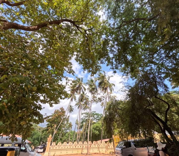 From Kandy: Sigiriya & Dambulla Day Tour with Safari - Entrance Fees and Optional Costs: The Part You Should Budget For