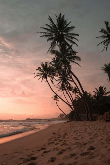From Kandy: Sigiriya & Dambulla Day Tour with Safari - What to Bring (and What You’ll Actually Use)